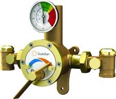 Guardian tempering valve blends hot and cold water to deliver tepid water. Flow capacity is 3.0 to 34 GPM, for use with a single emergency shower, or multiple eyewash, eye/face wash, eyewash/drench hose or drench hose units. - Eagle Tool & Supply