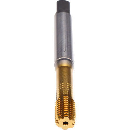 ‎3/4-10-FORMVA-CLNT-PM-TIN