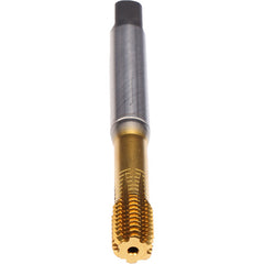 ‎3/4-10-FORMVA-CLNT-PM-TIN