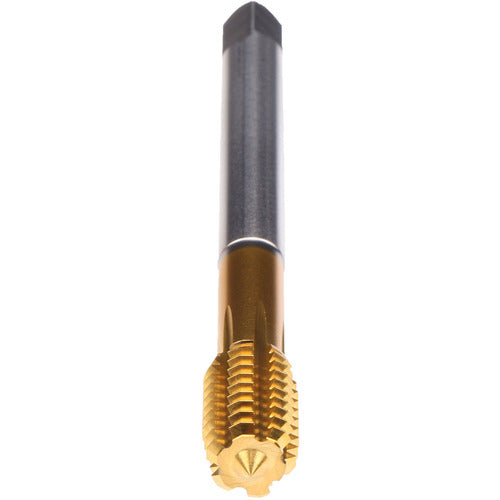 ‎3/4-10-FORM Z-PM-CLNT-TIN