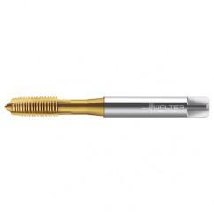 TC216-M10X1.5 6H WY80FC HS SPPT TAP - Eagle Tool & Supply