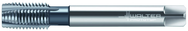 2026616-M12X1.75 6HX 4FL HS SPPT TAP - Eagle Tool & Supply