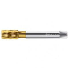 TC216-M14X2 6H WY80AA HS SP PT TAP - Eagle Tool & Supply