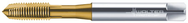 P2033005-M6 PROTOTEX XPERT P - Eagle Tool & Supply