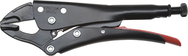 Proto® Locking Groove Pliers w/Grip - 9-7/16" - Eagle Tool & Supply