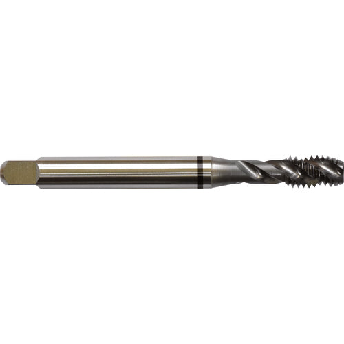 ‎12-24 H3 3 Flute Spiral Flute Semi-Bottoming Black Ring Tap-TICN - Eagle Tool & Supply