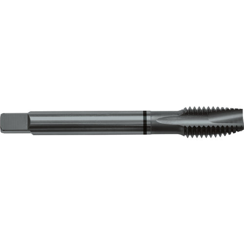 M5x0.8 D4 3 Flute Spiral Pointed Plug Black Ring Tap-Steam Oxide - Eagle Tool & Supply