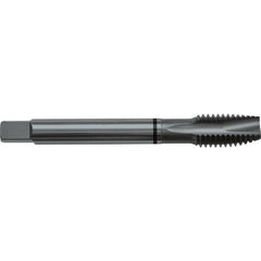 M3x0.5 D3 3 Flute Spiral Pointed Plug Black Ring Tap-Steam Oxide - Eagle Tool & Supply