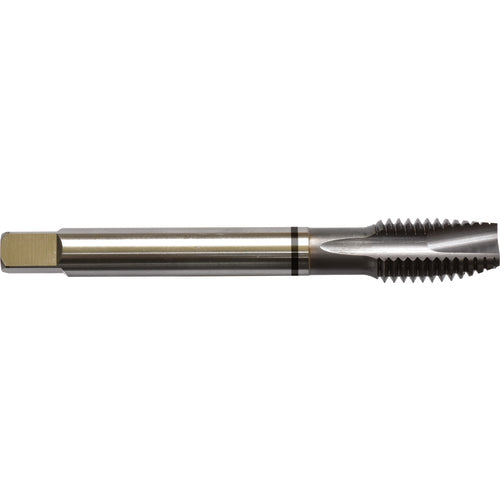 ‎5/16-24 H4 3 Flute Spiral Pointed Plug Black Ring Tap-TICN - Eagle Tool & Supply