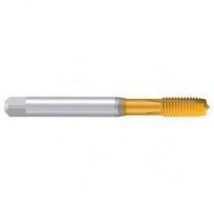 M6–6H REK.A-H/E TiN Straight Flute Tap - Eagle Tool & Supply