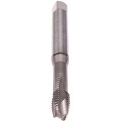 ‎LK 6-40 SELF-LK/PL/GLT1 - Exact Industrial Supply