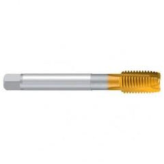 M20–6H REK.A-H/E TiN Straight Flute Tap - Eagle Tool & Supply