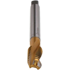 M14-TAP-REKORD DF-TIN