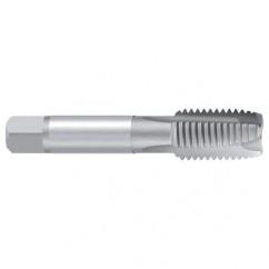 1/4–28 UNF–3B REK.B-VA Sprial Point Tap - Eagle Tool & Supply