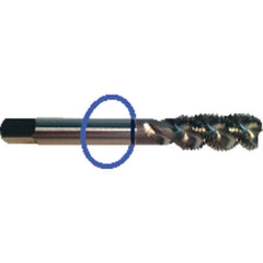 ‎M8 × 1.25 Dia-D5-3 FL-Std Spiral FL Tap - Blue Ring - Eagle Tool & Supply