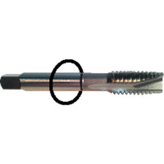 ‎1/2-20 Dia-H5-3 FL-Std Spiral Point Tap - Black Ring - Eagle Tool & Supply