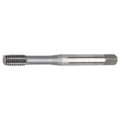 M14x2.0 D12 - Semi-Bottoming Hand Tap - Eagle Tool & Supply