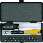 ESD TorqueVario-S Handle 15-80 in oz Micro Bit 24 Piece Set In Storage Box - Eagle Tool & Supply