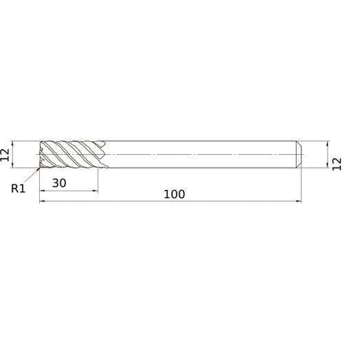 VFMDRBD1200R100 SOLID CARBIDE EM